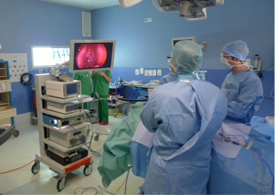 Oto-rhino-laryngologie (ORL) et de chirurgie cervico-maxillo-faciale