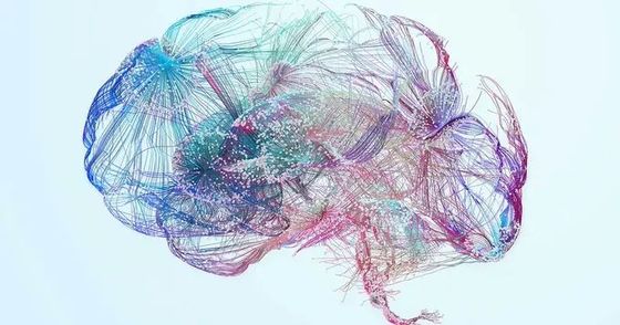 Neurologie