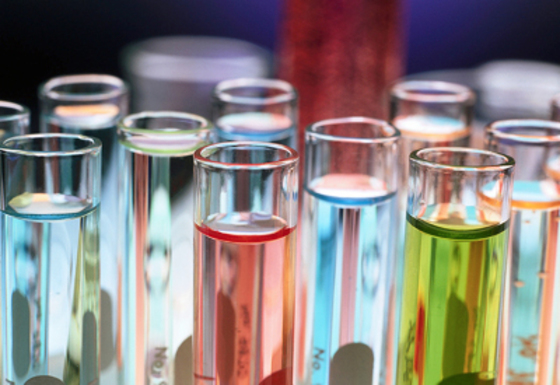 Organisation recherche 2