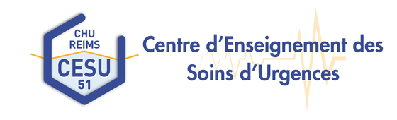 Centre d'enseignement des soins d'urgences (C.E.S.U)