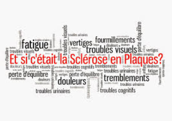 Scl%c3%a9rose en plaque1