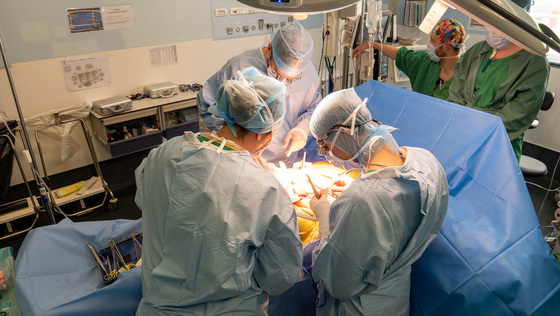 Coordination Hospitalière pour le Don d'Organes et de Tissus (CHPOT)